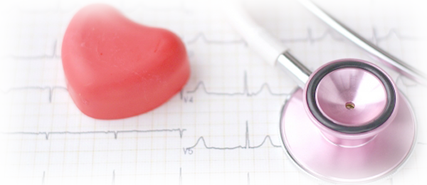 専門職への就職・実習が強い